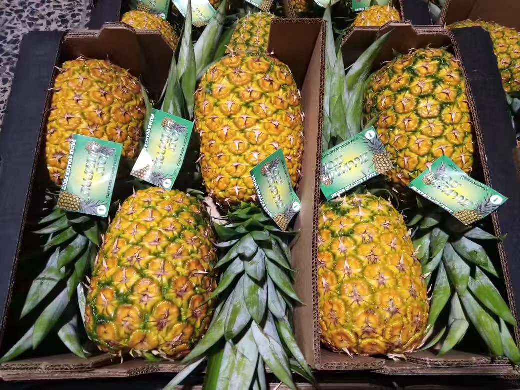 菠萝